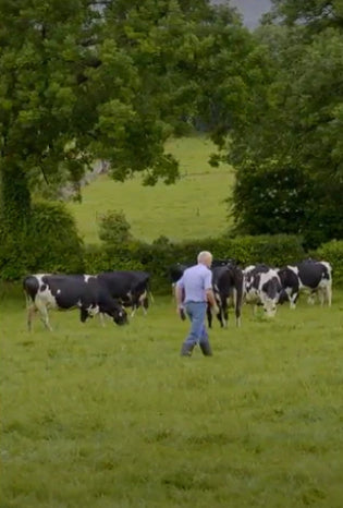 TRULY GRASS-FEDIRISH WHEY