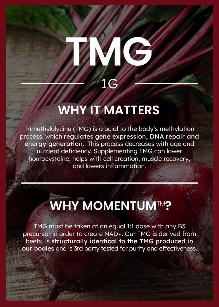 Momentum Longevity Shake Momentum Shake